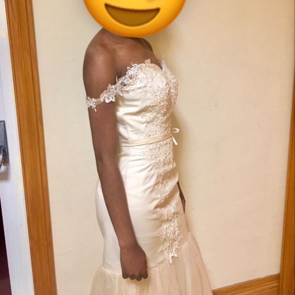 Beautiful champagne mermaid gown, dress